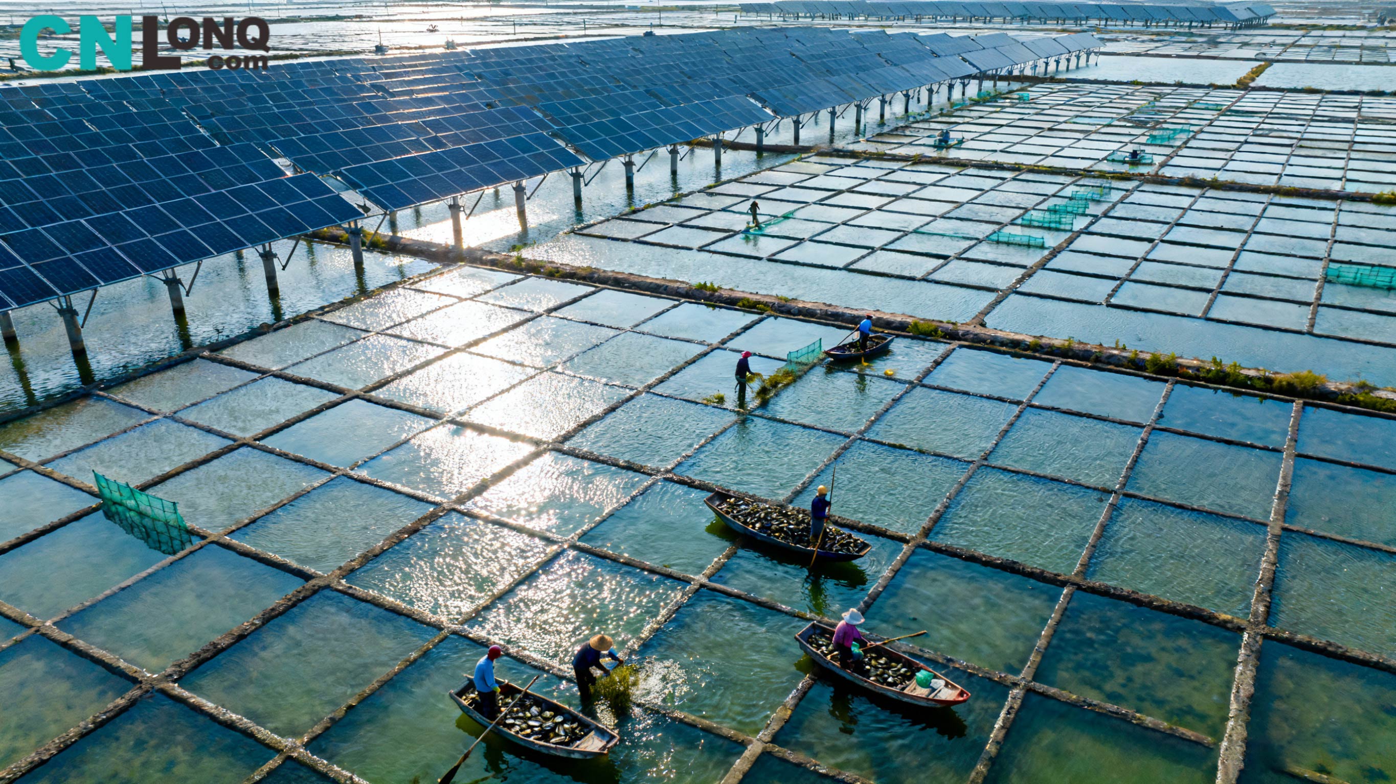 आरएमबी 1.2 बिलियन का कुल निवेश! Xindao Qingkou साल्ट फील्ड 250MW 